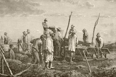 Graven naar diamanten in Zuid-Afrika door English School